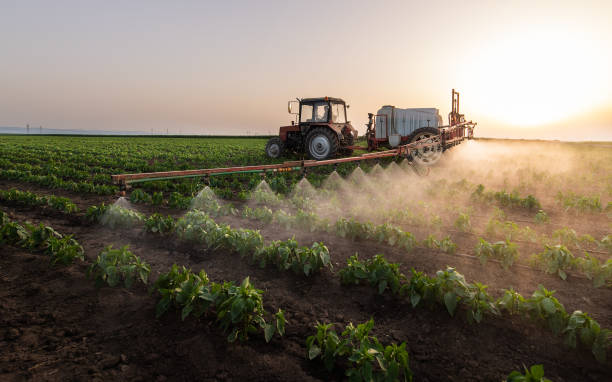 Best Pest Control Treatment  in Sullivan Gardens, TN