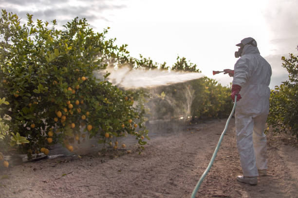 Best Local Pest Control Services  in Sullivan Gardens, TN