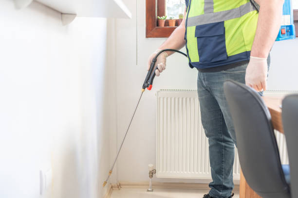 Best Termite Control Services  in Sullivan Gardens, TN
