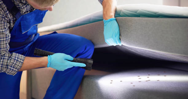 Best Affordable Pest Control Services  in Sullivan Gardens, TN