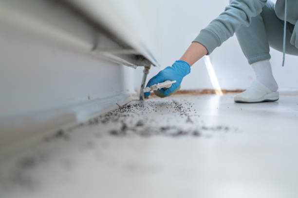 Best Wildlife Control Services  in Sullivan Gardens, TN